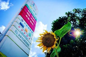 开云体育app-戴雅队员身体状态绝佳，备战全力以赴，决心取得好成绩()