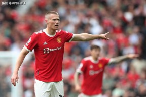 开云app-阿根廷国脚转投英超，新赛季期待大放异彩()